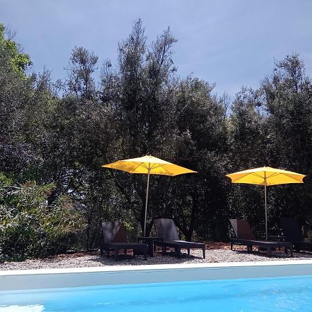 2 Pieces "Le Brin De Soleil" Gites Appart 'Hotel L'Echappee Belle D'Aubenas Logement 1 Sur 3 Екстериор снимка