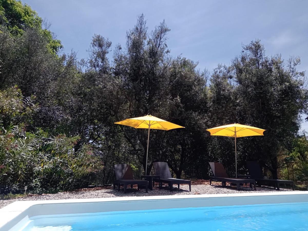 2 Pieces "Le Brin De Soleil" Gites Appart 'Hotel L'Echappee Belle D'Aubenas Logement 1 Sur 3 Екстериор снимка